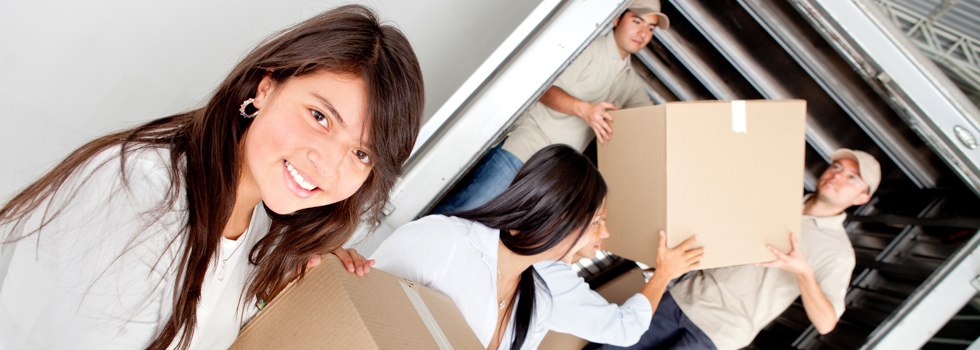 Professional Removalists Conoble